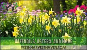daffodils, asters, and more