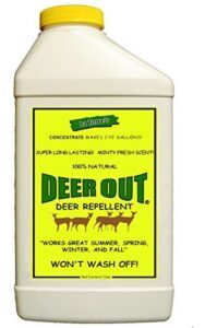 Deer Out 32oz Concentrate Deer B002DQMXNQ