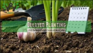 delayed planting