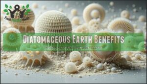diatomaceous earth benefits