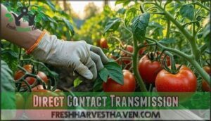 direct contact transmission