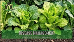disease management