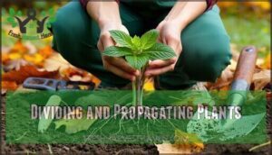 dividing and propagating plants