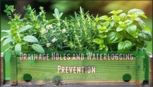 drainage holes and waterlogging prevention