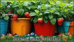 drainage holes importance