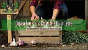duration of curing process