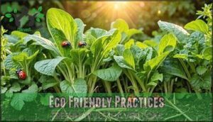 eco friendly practices