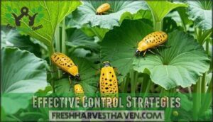 effective control strategies