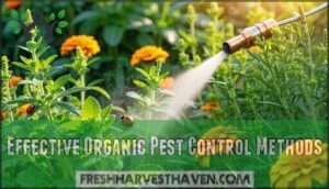 effective organic pest control methods