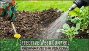 effective weed control