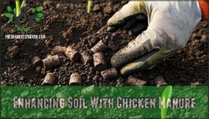 enhancing soil with chicken manure