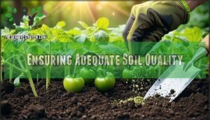 ensuring adequate soil quality