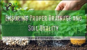 ensuring proper drainage and soil quality