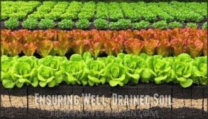 ensuring well-drained soil