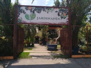 Entrada