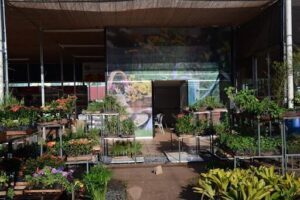 Escola de Paisagismo de Brasília