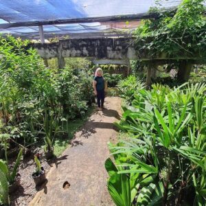 Espaço Verde