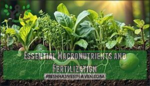 essential macronutrients and fertilization