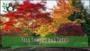 fall shrubs and trees