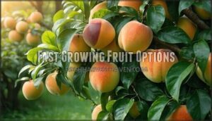 fast growing fruit options