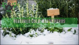 featured cold-hardy herbs
