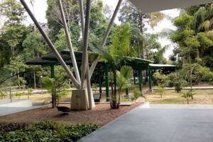 Federal University of Amazonas