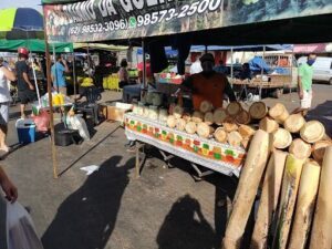 Feira Coberta do Nova Aurora