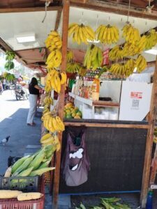 Feira da Jatiúca