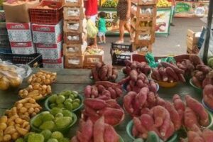 Feira Livre de José de Anchieta
