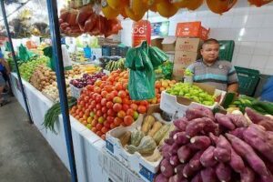 Feira Manaus Moderna