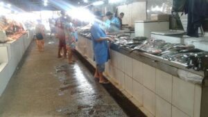 Feira Municipal Armando Mendes