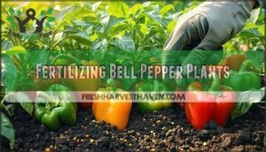 fertilizing bell pepper plants