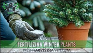 fertilizing winter plants