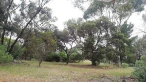 Flinders University Permaculture Garden