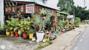 FLORA PARINTINS ARTSPAISAGISMO