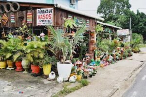 FLORA PARINTINS ARTSPAISAGISMO