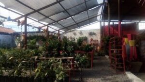 Floramor Garden