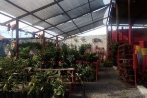 Floramor Garden