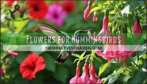 flowers for hummingbirds