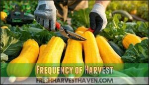 frequency of harvest