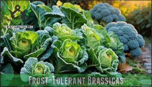 frost-tolerant brassicas