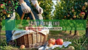 fruit handling