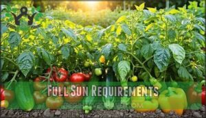 full sun requirements
