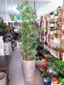 GARDENVERT JARDIM