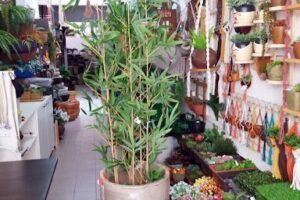 GARDENVERT JARDIM