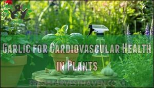 garlic for cardiovascular health in plants