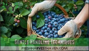gentle handling techniques