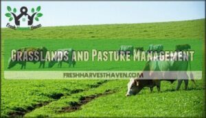 grasslands and pasture management