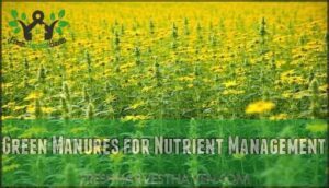 green manures for nutrient management