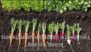 growing carrots and radishes in summer for a bountiful harvest